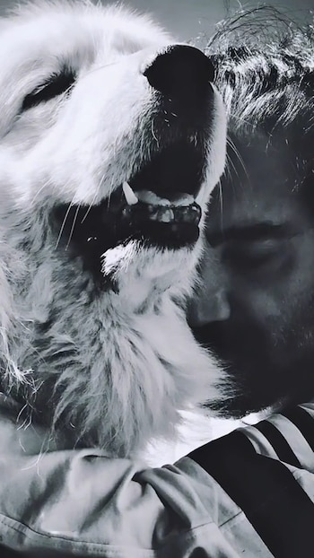 Un Komondor de pelaje blanco y abundante es abrazado por un hombre, su hocico y dientes son visibles mientras el rostro del hombre se asoma detrás. La imagen es en blanco y negro