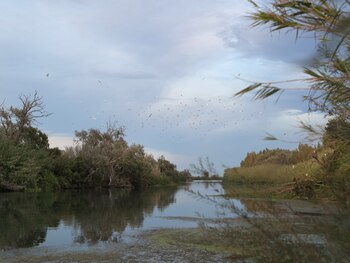 El río Ebro, el lugar