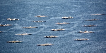 Las bateas permiten criar mejillones