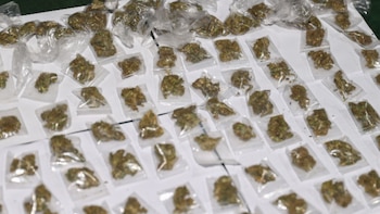 El operativo operativo permitió recolectar