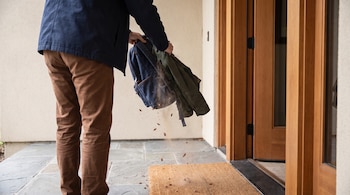 Una persona de espaldas sacude una mochila y una chamarra verde sobre un felpudo en la entrada de una casa. Pequeños insectos caen de la ropa.