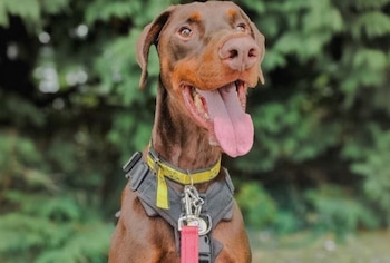 Incluso en los escenarios más