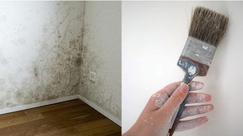 Si el problema de humedad