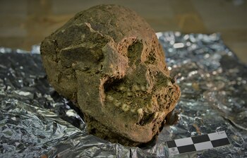 La osamenta fue hallada durante