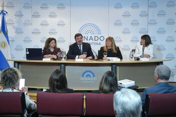 El Senado argentino conmemoró el