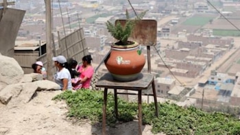 El funcionamiento de Alinti se