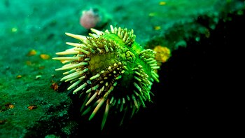 En las moléculas de las