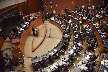 La iniciativa de Batrés será discutida en la Cámara de Senadores (Foto: Cuartoscuro)