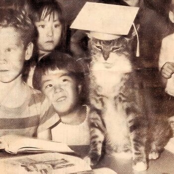 El aula 8 se recuerda