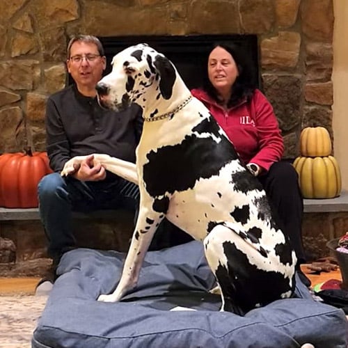 Minnie pertenece a la familia Nogacek, cuya hija, técnica veterinaria, investigó y gestionó la candidatura que llevó a la perra al reconocimiento mundial (Guinness World Records)