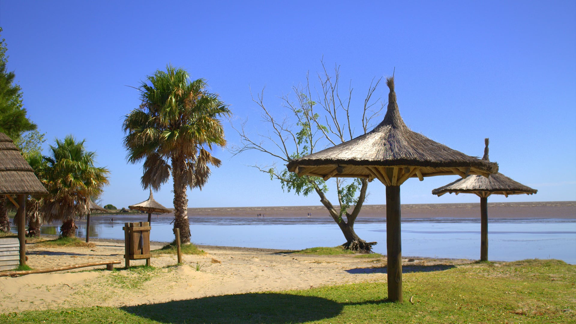 El Parque Costero del Sur protege 25 mil hectáreas de costas, humedales y bosques autóctonos (puntaindioweb.com)