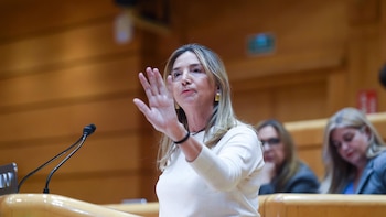 El PP desdeña la auditoría