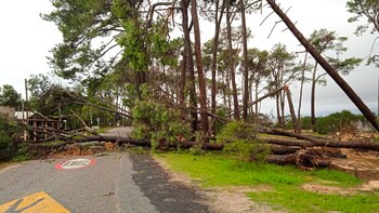 El Sistema Nacional de Emergencias