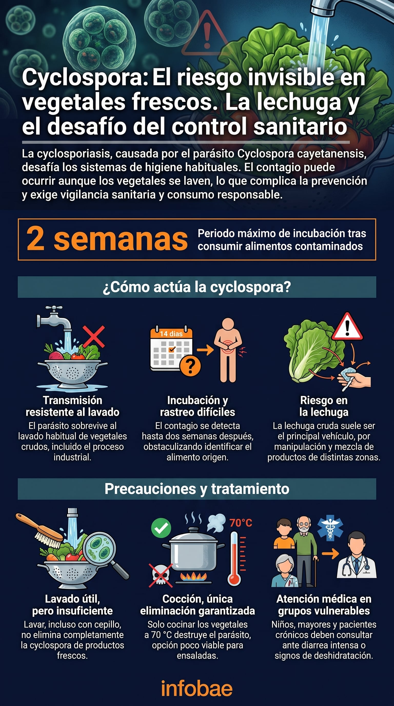 El periodo de incubación de la cyclospora puede llegar hasta dos semanas y dificulta identificar el alimento responsable del contagio (Imagen Ilustrativa Infobae)