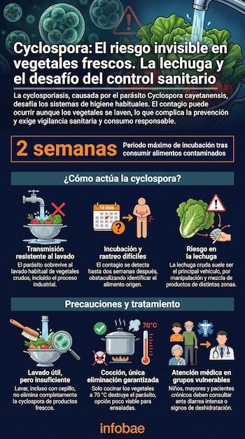 Infografía sobre Cyclospora muestra parásitos, lavado de vegetales, incubación, lechuga, cocción a 70 grados y atención médica para grupos vulnerables.