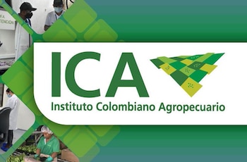 A pesar de la responsabilidad