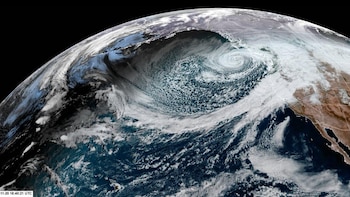 Hallan un vínculo entre las