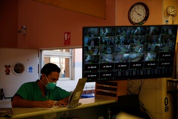 Un trabajador sanitario en un