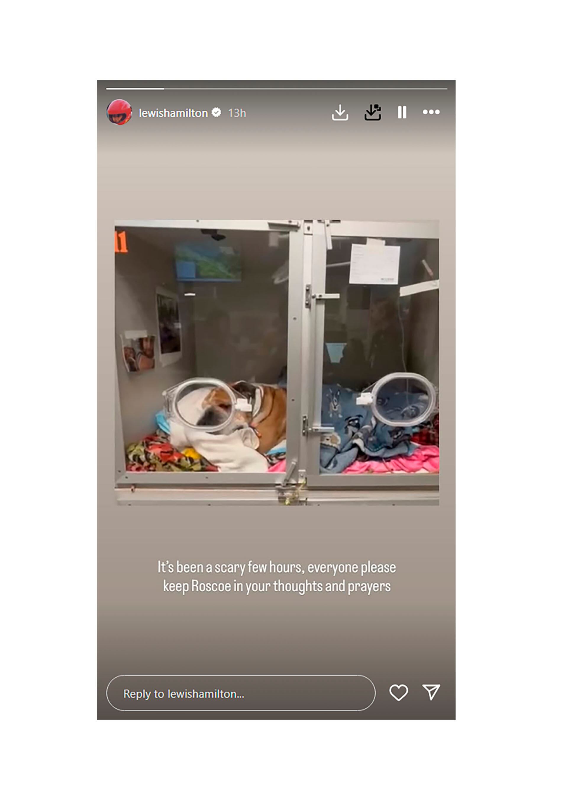 Hamilton había informado en las últimas horas que Rosco había sido internado