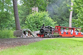 Tren de vapor eléctrico del
