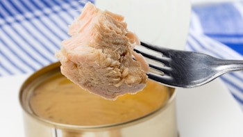 Latas de atún en aceite