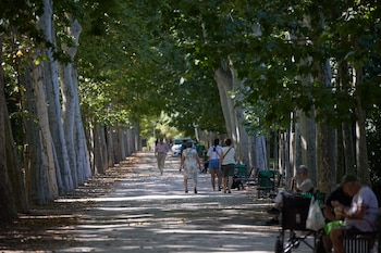 Vista general de una de las zonas del Parque de El Retiro durante una segunda ola de calor, a 23 de julio de 2024, en Madrid (España). (Jesús Hellín/Europa Press)