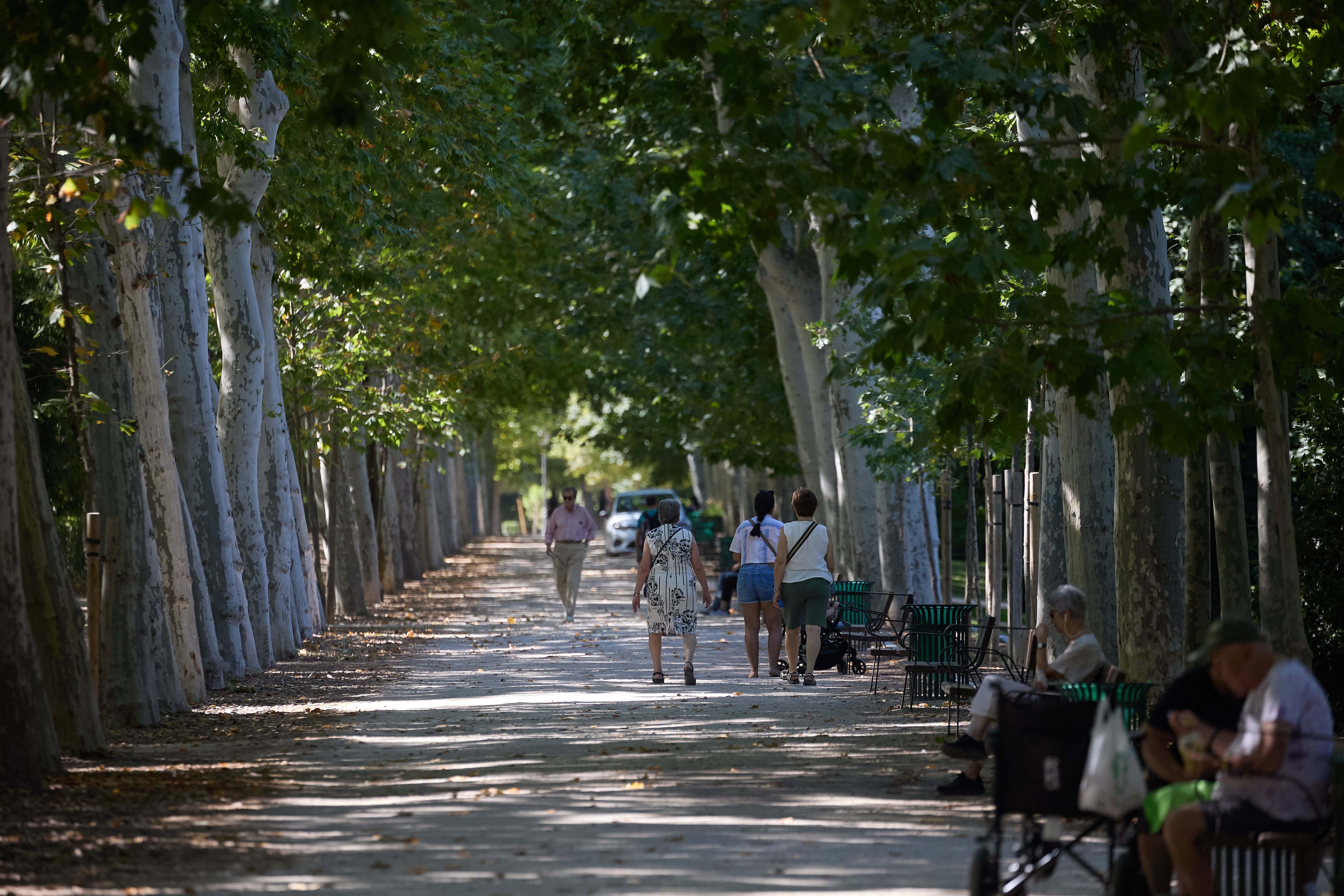 Vista general de una de las zonas del Parque de El Retiro. (Jesús Hellín/Europa Press)