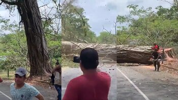 La víctima se desplazaba entre