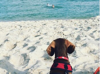 Pipsqueak se quedó en EEUU