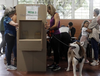 Especialistas advierten que el Senado