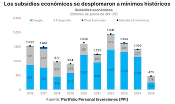 Los subsidios económicos se redujeron