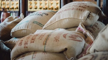 Diversos informes de OMS y