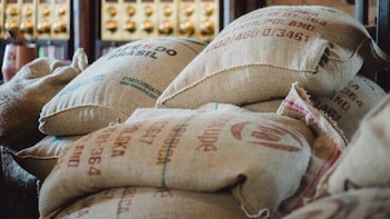 Perú ante el banquillo: TC