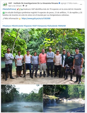 La investigación, realizada por un equipo compuesto por cuatro científicos y cinco asistentes, se centró en analizar cómo las variaciones térmicas influyen en la distribución de especies en este ecosistema único - Créditos: IIAP.