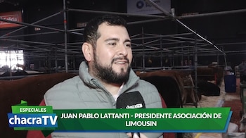 Juan Pablo Lattanti, presidente de la Asocioación de Limousin (Revista Chacra)