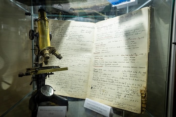 Museo del Cerebro
