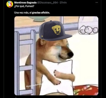 Memes pumas