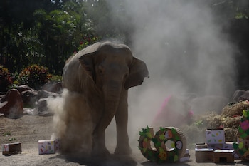 AME5111. CIUDAD DE GUATEMALA (GUATEMALA),