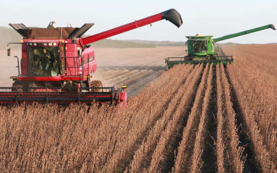 El sector agrícola impulsó el crecimiento del EMAE en diciembre con una suba interanual de 32,2%.