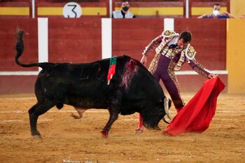 El diestro español David Fandila