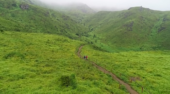 Un sendero delimitado por cercas de madera serpentea a través de colinas cubiertas de vegetación verde bajo un cielo gris