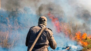 COP26: las emisiones en la