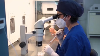 La edad media de congelación de óvulos desciende de los 38 a los 35 pero sigue sin ser suficiente