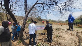 Por quejas ciudadanas, Profepa clausura predio en Puebla por tala de árboles, apertura de caminos y lotificación ilegal