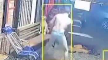Misiones: detuvieron a un hombre por maltrato animal tras la viralización de videos donde les pegaba a perros con un bate