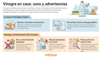 Infografía de usos y advertencias del vinagre en casa con texto, ilustraciones de botellas de vinagre, limpieza, refrigerador, tela, símbolos de precaución y logo Infobae.