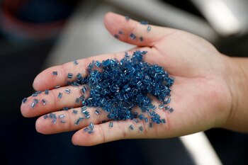 Un estudio revela la presencia