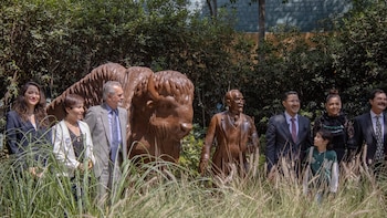 (Foto: Tw Bosque de Chapultepec)