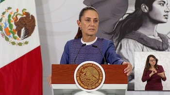 Sheinbaum revisará acceso de publicidad