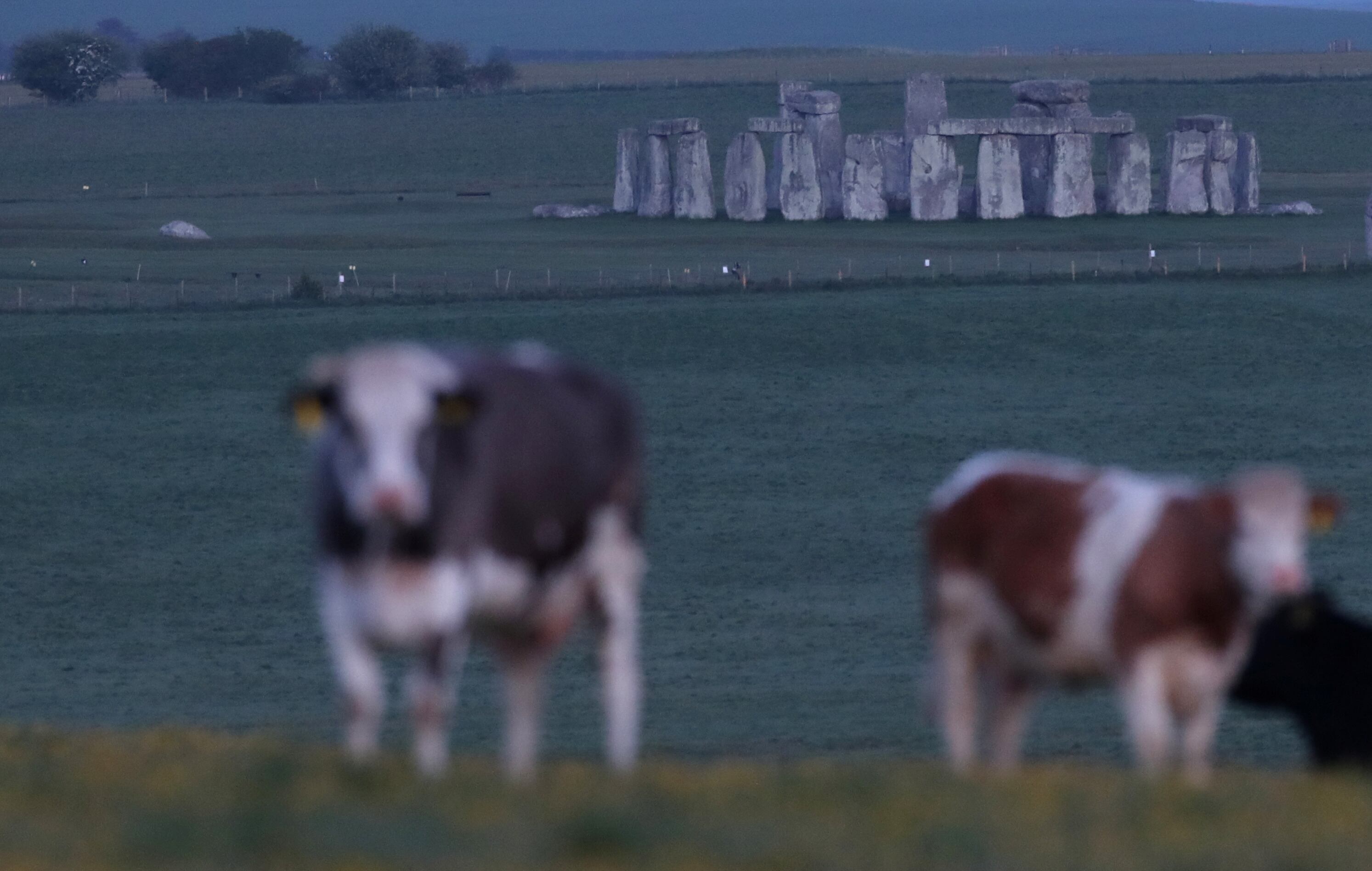 Arqueólogos confirman que la mayor estructura prehistórica del Reino Unido es obra humana, tras un estudio liderado por la Universidad de Bradford (REUTERS/Peter Cziborra)